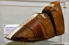 museo_della_calzatura035