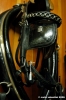 museo_delle_carrozze043