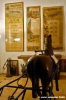 museo_trotto053