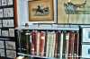 museo_trotto082