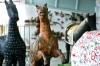 museo_trotto103