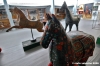 museo_trotto108