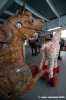 museo_trotto110