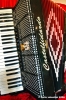 big_fisarmonica007