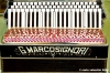 museo_della_fisarmonica044