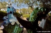 giardino_tarocchi050