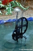 giardino_tarocchi074