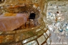 giardino_tarocchi106