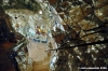 giardino_tarocchi111