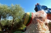 giardino_tarocchi135