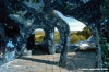 giardino_tarocchi144