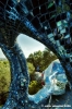 giardino_tarocchi152