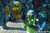 giardino_tarocchi154