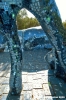 giardino_tarocchi156