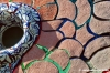 giardino_tarocchi161