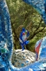 giardino_tarocchi182