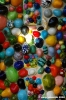 giardino_tarocchi204