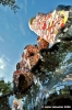 giardino_tarocchi248