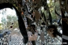 giardino_tarocchi264