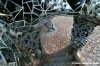giardino_tarocchi270