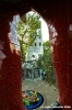 giardino_tarocchi293
