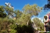 giardino_tarocchi310