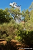 giardino_tarocchi311