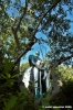 giardino_tarocchi314