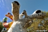 giardino_tarocchi347