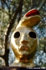 giardino_tarocchi353