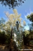 giardino_tarocchi363