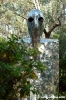 giardino_tarocchi365