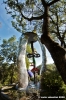 giardino_tarocchi385