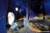 giardino_tarocchi401
