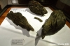 museo_miniere29