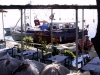 alonnisos04_010902