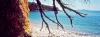 alonnisos60_104