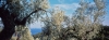 alonnisos61_108