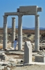 delos699_24