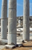delos699_26