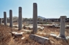delos699_41