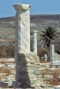 delos699_43