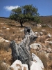 fourni04_990902