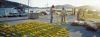 fourni06_123