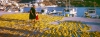 fourni06_219