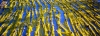 fourni06_221