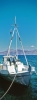 fourni08_229