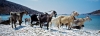 fourni09_624