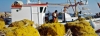 koufonissi30_503