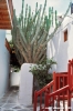 mikonos685_40